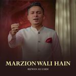 Marzion Wali Hain