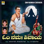 Om Namah Shivaya