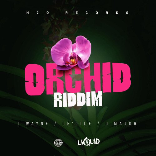 Orchid Riddim_poster_image