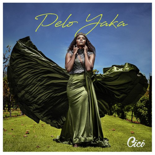 Pelo Yaka_poster_image