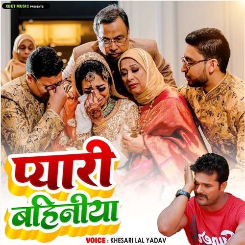 Pyari Behaniya_poster_image