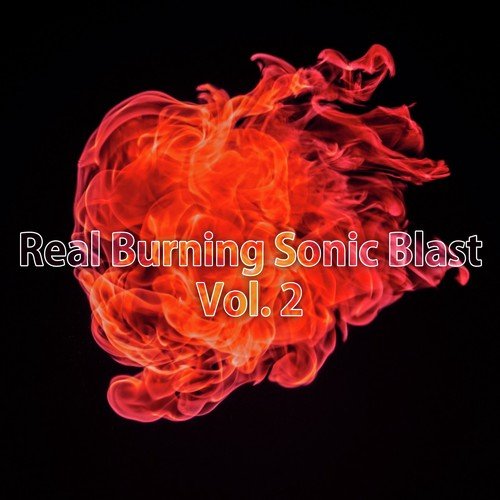 Real Burning Sonic Blast, Vol. 2