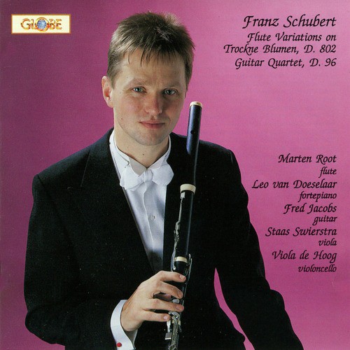 Quartet In C Major for Flute, Viola, Guitar and Violoncello 'Guitar Quartet', D. 96: III. Lento e Patetico