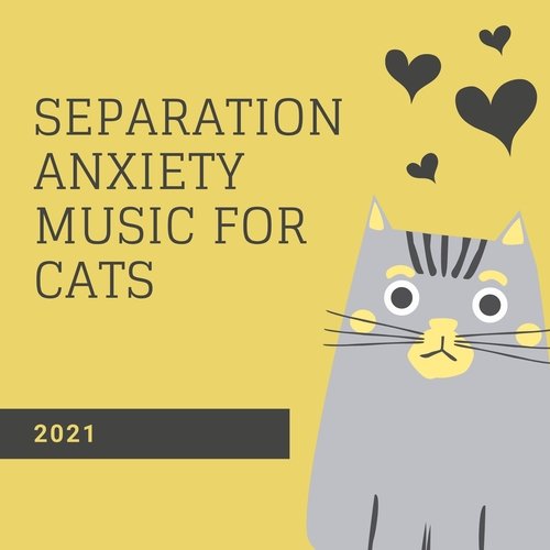 Separation Anxiety Music for Cats 2021