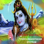 Shiv Lingashtakam Stotrum Shubh Shivratri