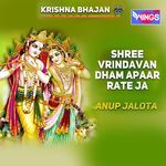 Shree Vrindavan Dham Apaar Rate Ja
