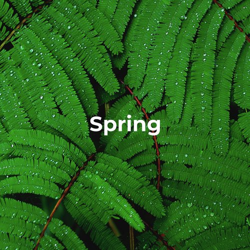 Spring cover art