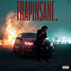 Trapinsane-Py4KQTtTel8