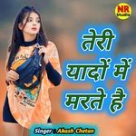 Teri Yado Me Marate Hai