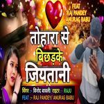 Tohara Se Bichhad Ke Jiyat Bani