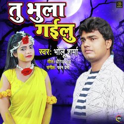 Tu Bhula Gailu - Bhojpuri Sad Song-SSclQw1BRWo