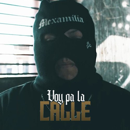 VOY PA LA CALLE cover art