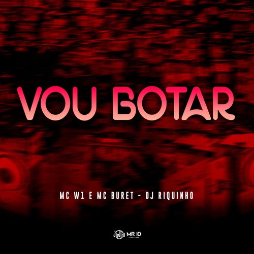 Vou Botar_poster_image