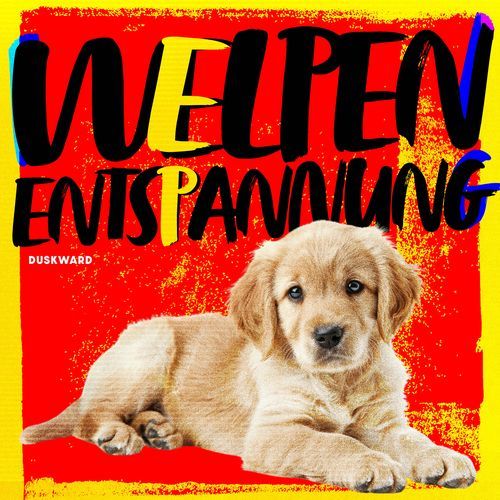 Welpen-Entspannung
