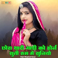 chora thari gadi ko horn suti room me suniyo chho