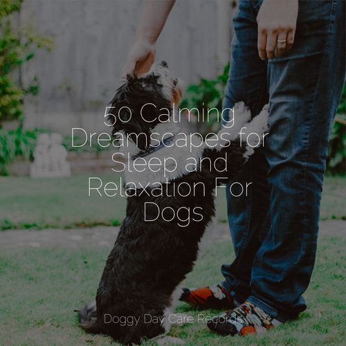 50 Calming Dreamscapes for Sleep and Relaxation For Dogs