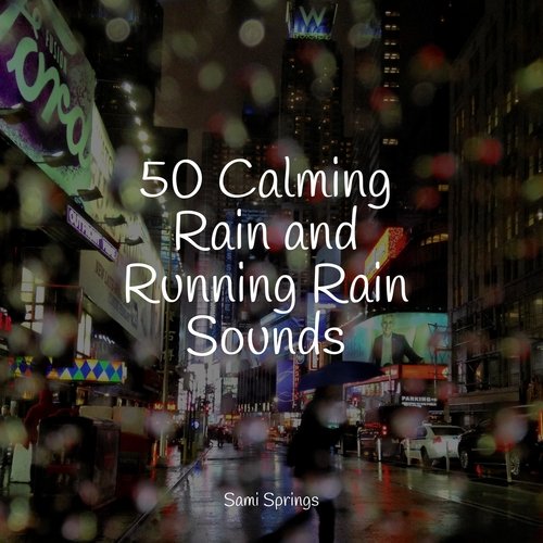 50 Calming Rain and Running Rain Sounds_poster_image