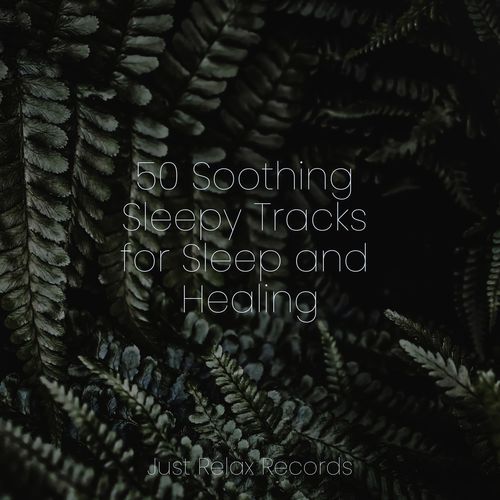 Spectral Reflections cover art