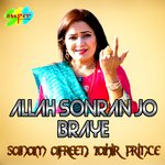 Allah Sonran Jo Braye artwork
