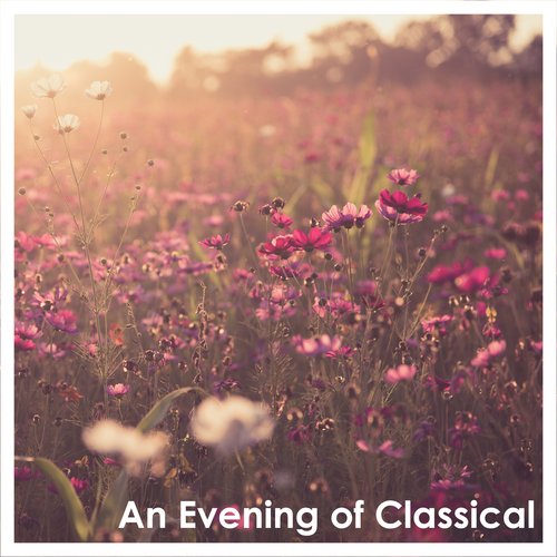 An Evening of Classical: Schubert