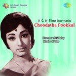 Oduvilee Sishirathin