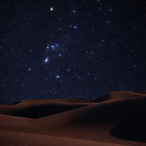 Diosas del desierto