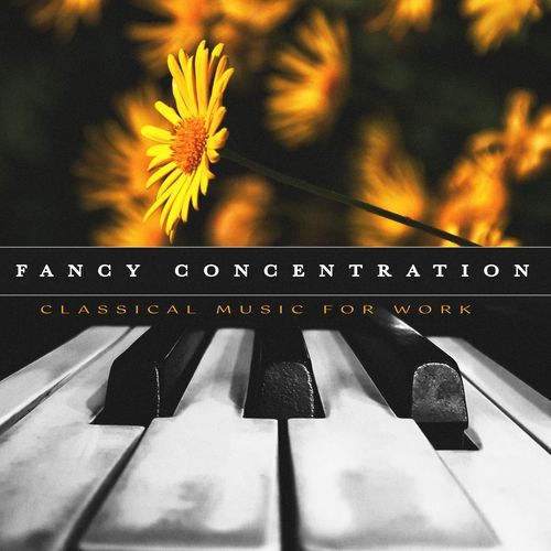 Fancy Concentration_poster_image