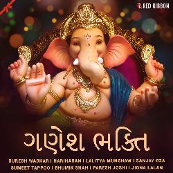 Jai Ganesh Deva Aarti-MSQOByRqRwI