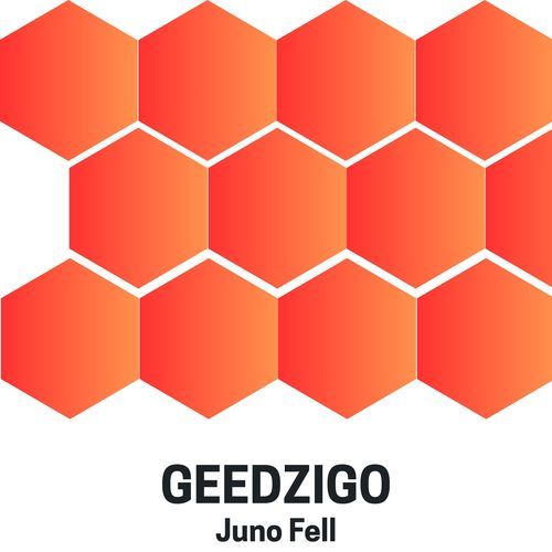 Geedzigo cover art