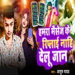 Hamra Message Ke Riplay Nahi Delu Jaan