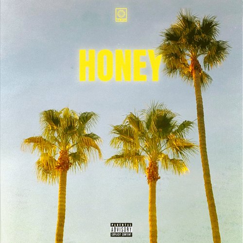 Honey_poster_image