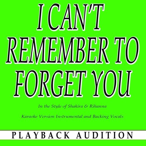 I Can't Remember to Forget You (In the Style of Shakira & Rihanna) (Karaoke Version)