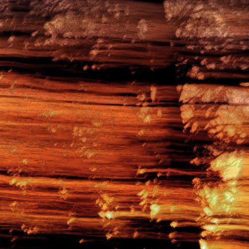 Tangled (Instrumental) cover art