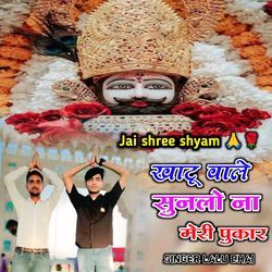 Khatu Vale Sunalo Na Meri Pukar