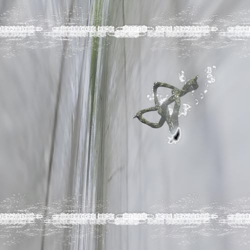 Misty Jungle Spirit Acidified (feat. Winebathory) cover art