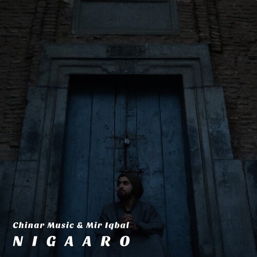 Nigaaro_poster_image