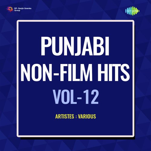 Punjabi Non - Film Hits Vol - 12