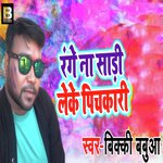 Range Na Saadi Leke Pichkari