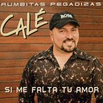Nada Cambiará Mi Amor por Ti
