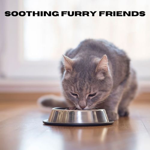 Soothing Furry Friends_poster_image