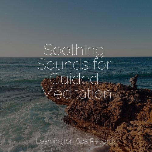 Meditating Music cover art