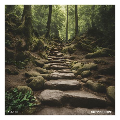 Stepping Stone_poster_image