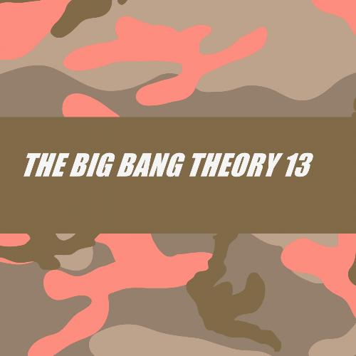 THE BIG BANG THEORY 13