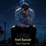 Teri Taswir