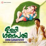 Unni Ganapathy