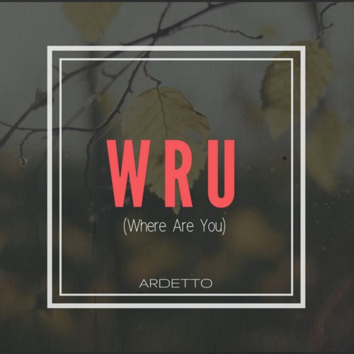 WRU (Where Are You ?)_poster_image