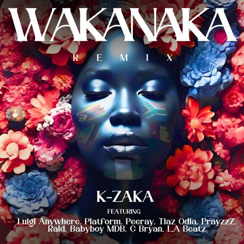 Wakanaka (feat. Peeray, Tiaz Odia, PrayzzZ, Rald, Babyboy MDB, C Bryan & LA Beatz) (Remix)_poster_image