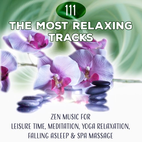 Tranquility Day at Spa cover art