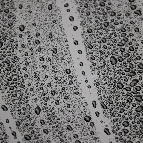 15 Grabaciones Pacíficas De Lluvia Primaveral Para Mentes Y Cuerpos Inquietos