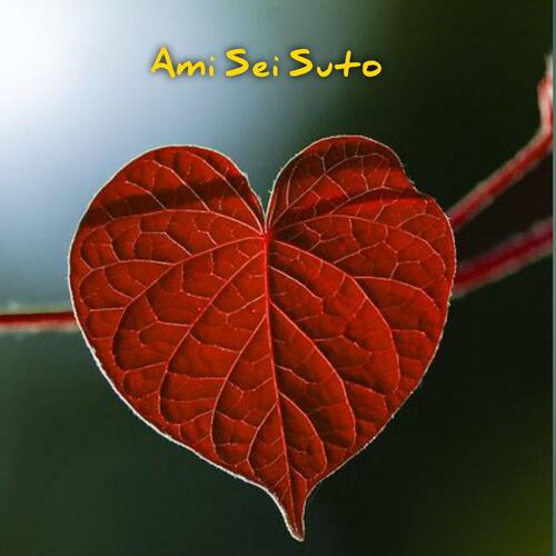 Ami Sei Too Suto